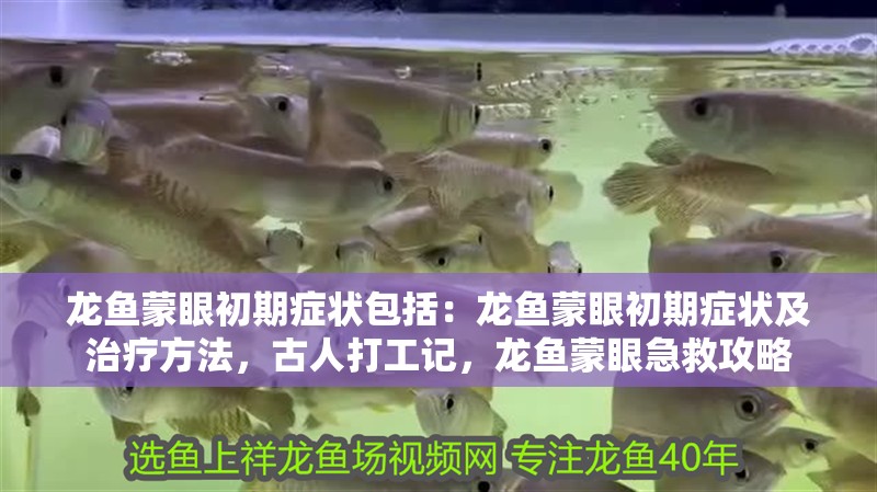 龍魚蒙眼初期癥狀包括：龍魚蒙眼初期癥狀及治療方法，古人打工記，龍魚蒙眼急救攻略