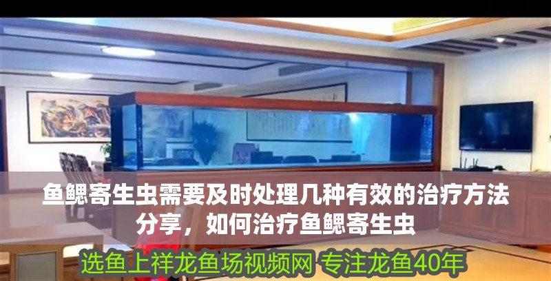 魚鰓寄生蟲需要及時處理幾種有效的治療方法分享，如何治療魚鰓寄生蟲