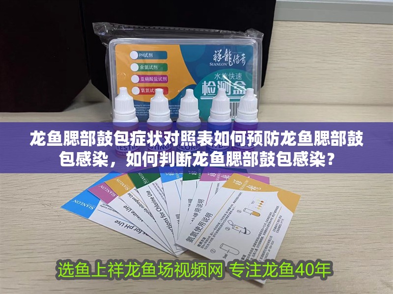 龍魚腮部鼓包癥狀對照表如何預防龍魚腮部鼓包感染，如何判斷龍魚腮部鼓包感染？