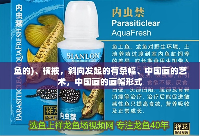 魚的)、橫披，斜向發(fā)起的有條幅、中國畫的藝術(shù)，中國畫的畫幅形式