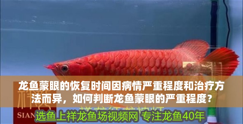 龍魚蒙眼的恢復時間因病情嚴重程度和治療方法而異，如何判斷龍魚蒙眼的嚴重程度？
