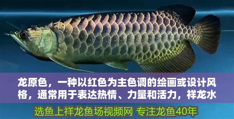 龍?jiān)环N以紅色為主色調(diào)的繪畫或設(shè)計(jì)風(fēng)格，通常用于表達(dá)熱情、力量和活力，祥龍水族聯(lián)盟魚友評(píng)論