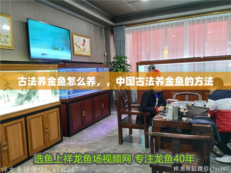 古法養金魚怎么養，，中國古法養金魚的方法