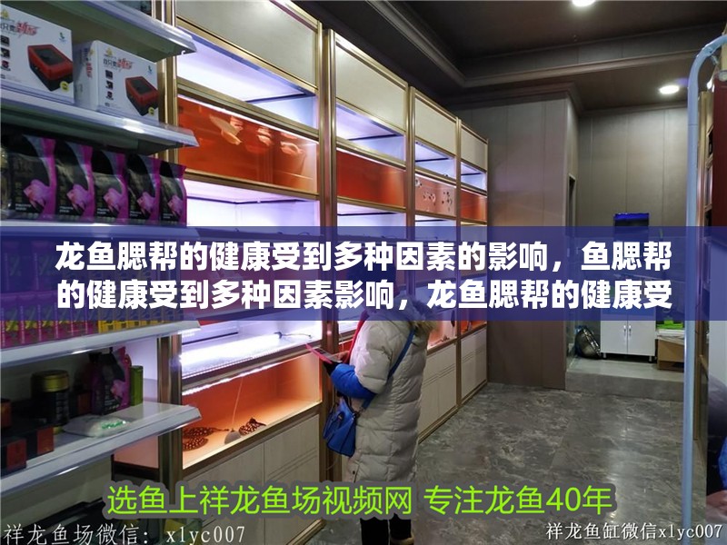 龍魚腮幫的健康受到多種因素的影響，魚腮幫的健康受到多種因素影響，龍魚腮幫的健康受到多種因素影響