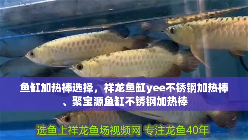 魚缸加熱棒選擇，祥龍魚缸yee不銹鋼加熱棒、聚寶源魚缸不銹鋼加熱棒