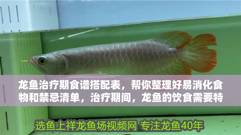 龍魚治療期食譜搭配表，幫你整理好易消化食物和禁忌清單，治療期間，龍魚的飲食需要特別注意，避免喂食高脂肪和高糖分的食物