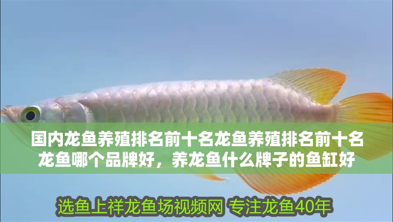 國內龍魚養殖排名前十名龍魚養殖排名前十名龍魚哪個品牌好，養龍魚什么牌子的魚缸好