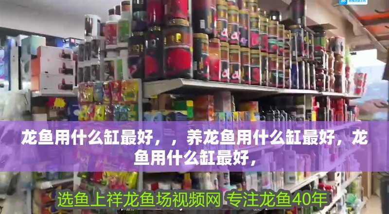 龍魚用什么缸最好，，養龍魚用什么缸最好，龍魚用什么缸最好，