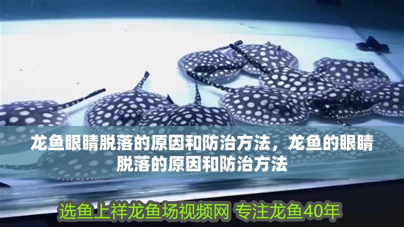 龍魚眼睛脫落的原因和防治方法，龍魚的眼睛脫落的原因和防治方法