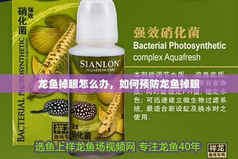 龍魚掉眼怎么辦，如何預(yù)防龍魚掉眼