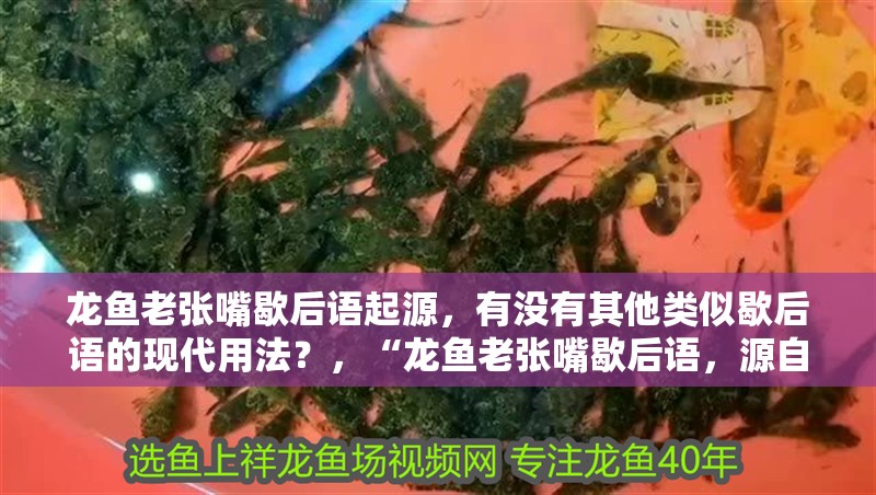 龍魚老張嘴歇后語起源，有沒有其他類似歇后語的現(xiàn)代用法？，“龍魚老張嘴歇后語，源自中國民間的一句俗語，意指某人說話或做事時過于夸張、不實際