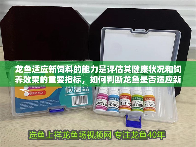 龍魚適應新飼料的能力是評估其健康狀況和飼養(yǎng)效果的重要指標，如何判斷龍魚是否適應新飼料
