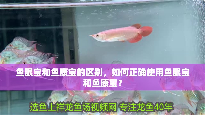 魚眼寶和魚康寶的區(qū)別，如何正確使用魚眼寶和魚康寶？