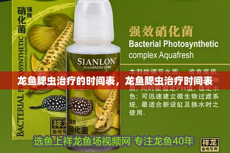 龍魚腮蟲治療的時(shí)間表，龍魚腮蟲治療時(shí)間表