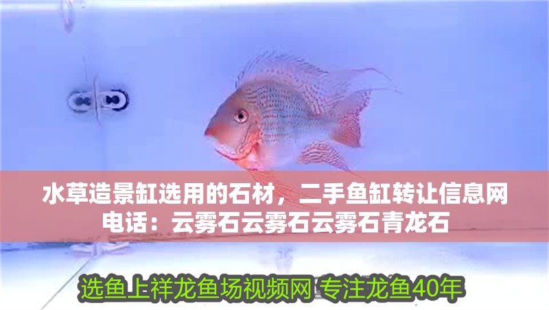 水草造景缸選用的石材，二手魚缸轉讓信息網電話：云霧石云霧石云霧石青龍石