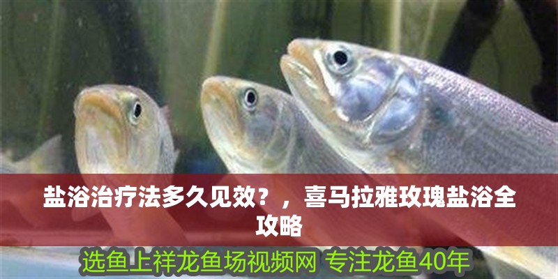 鹽浴治療法多久見效？，喜馬拉雅玫瑰鹽浴全攻略