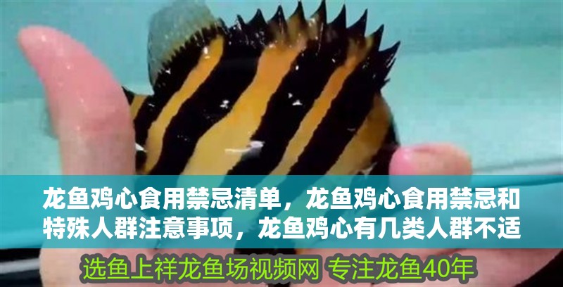 龍魚雞心食用禁忌清單，龍魚雞心食用禁忌和特殊人群注意事項，龍魚雞心有幾類人群不適合食用龍魚雞心食用禁忌清單