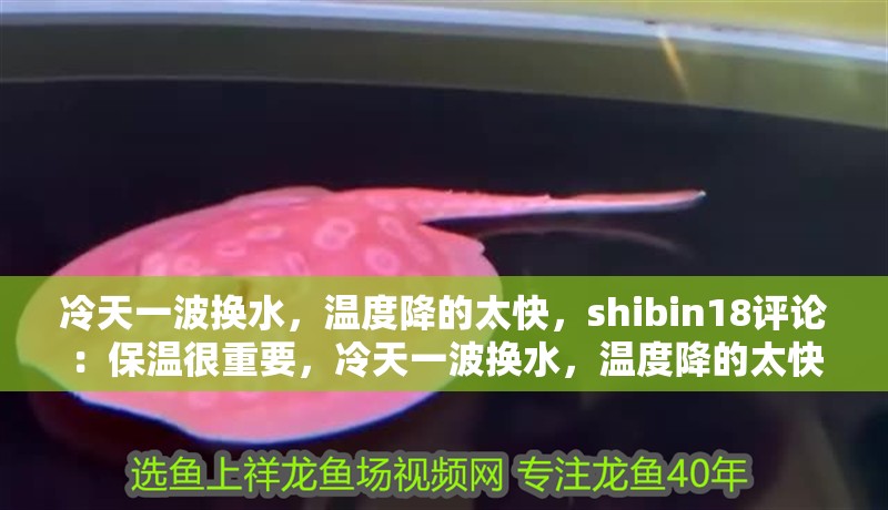 冷天一波換水，溫度降的太快，shibin18評論：保溫很重要，冷天一波換水，溫度降的太快