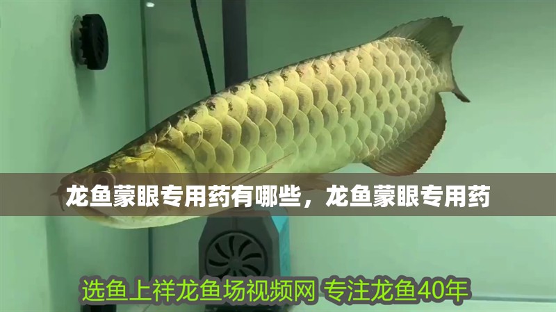龍魚蒙眼專用藥有哪些，龍魚蒙眼專用藥