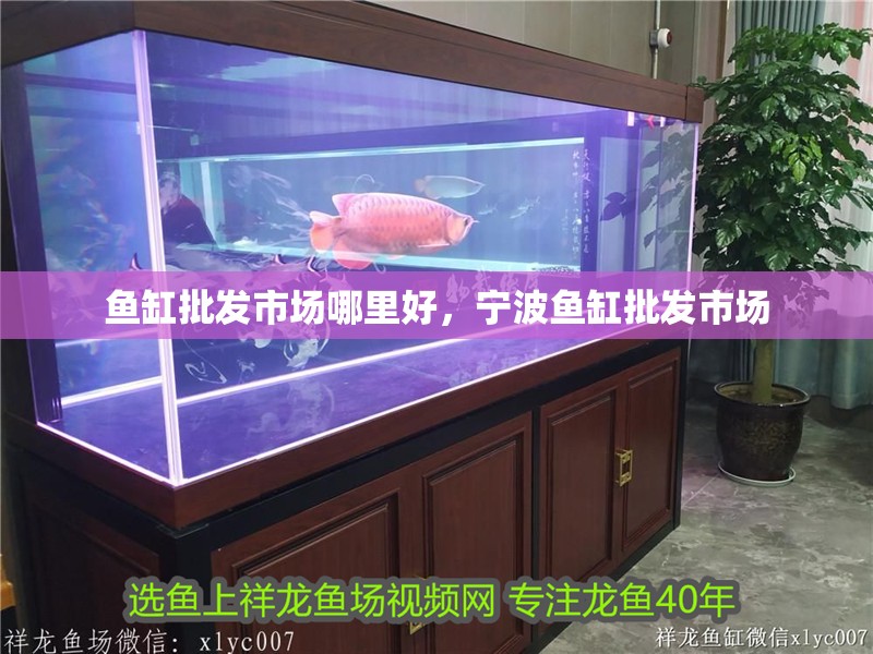 魚缸批發市場哪里好，寧波魚缸批發市場