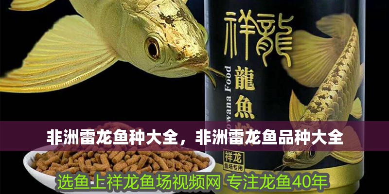 非洲雷龍魚種大全，非洲雷龍魚品種大全