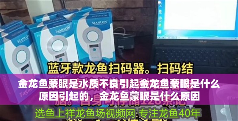 金龍魚蒙眼是水質(zhì)不良引起金龍魚蒙眼是什么原因引起的，金龍魚蒙眼是什么原因