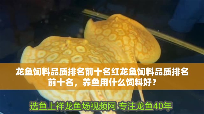 龍魚飼料品質排名前十名紅龍魚飼料品質排名前十名，養魚用什么飼料好？