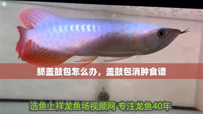 鰓蓋鼓包怎么辦，蓋鼓包消腫食譜