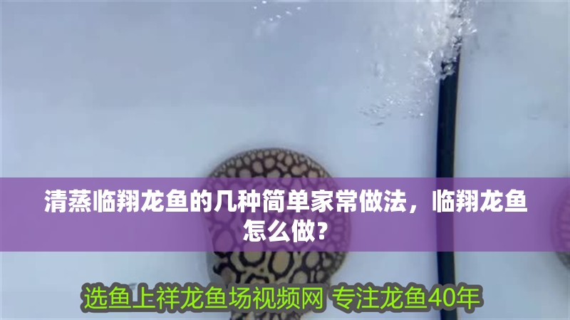 清蒸臨翔龍魚的幾種簡單家常做法，臨翔龍魚怎么做？