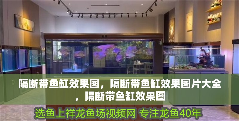 隔斷帶魚缸效果圖，隔斷帶魚缸效果圖片大全，隔斷帶魚缸效果圖