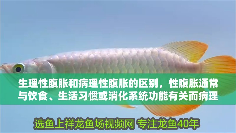 生理性腹脹和病理性腹脹的區別，性腹脹通常與飲食、生活習慣或消化系統功能有關而病理性腹脹