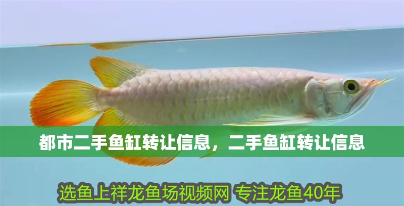 都市二手魚缸轉讓信息，二手魚缸轉讓信息