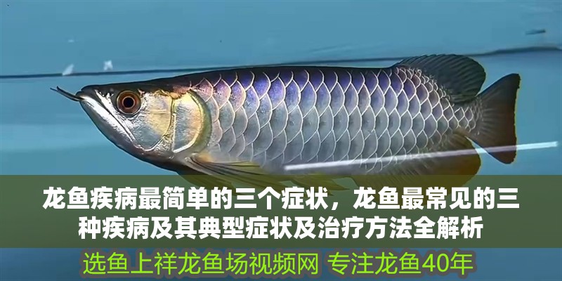 龍魚疾病最簡(jiǎn)單的三個(gè)癥狀，龍魚最常見的三種疾病及其典型癥狀及治療方法全解析