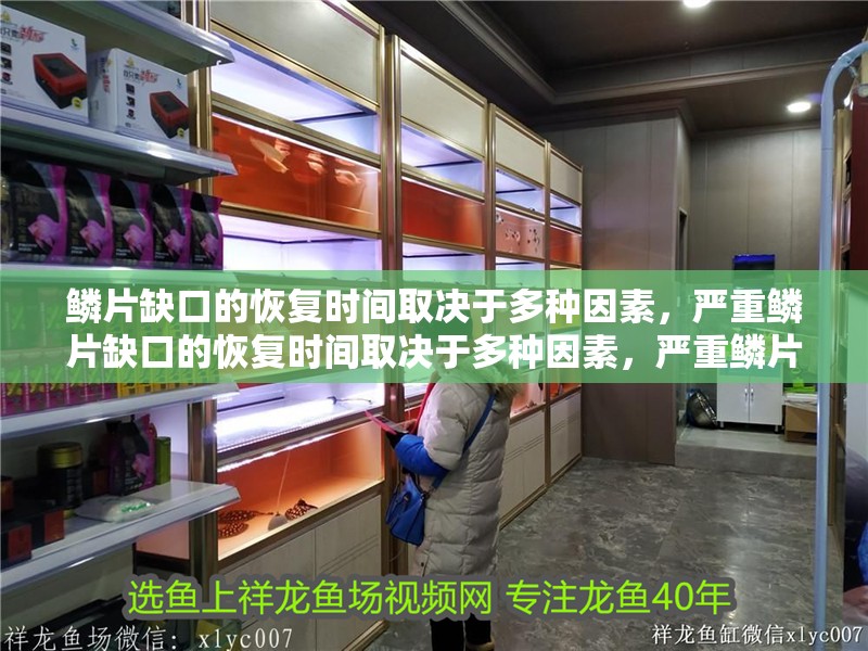 鱗片缺口的恢復(fù)時間取決于多種因素，嚴重鱗片缺口的恢復(fù)時間取決于多種因素，嚴重鱗片缺口恢復(fù)期間需要注意什么？