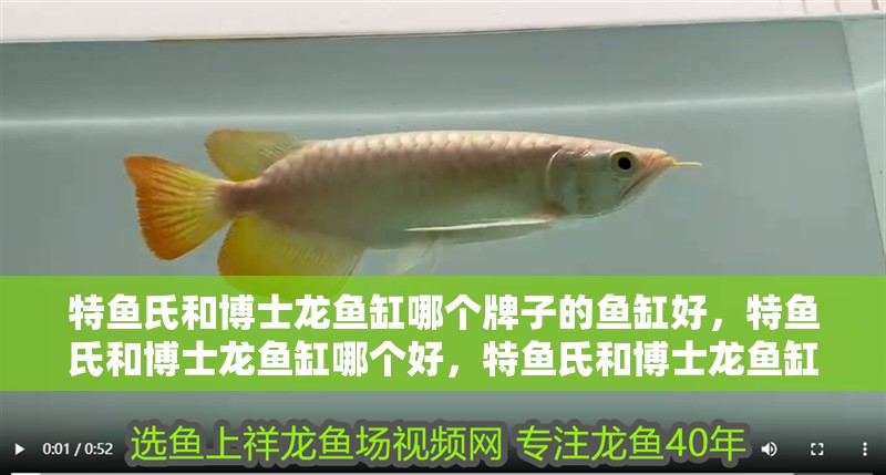 特魚氏和博士龍魚缸哪個牌子的魚缸好，特魚氏和博士龍魚缸哪個好，特魚氏和博士龍魚缸哪個好
