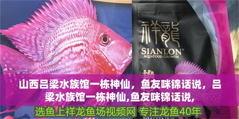 山西呂梁水族館一棟神仙，魚友咪錦話說，呂梁水族館一棟神仙,魚友咪錦話說,