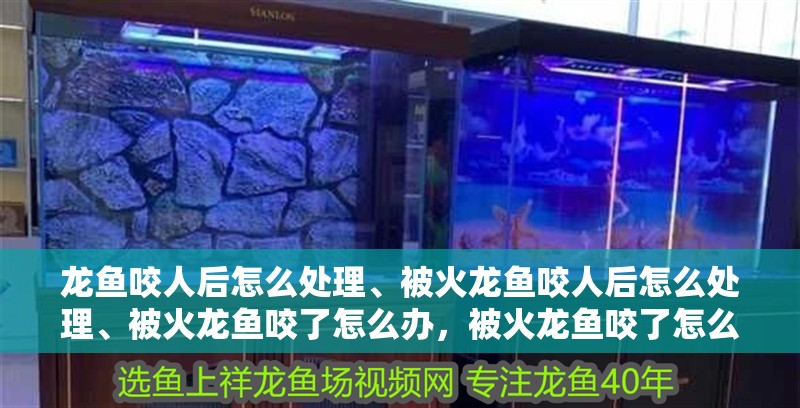 龍魚咬人后怎么處理、被火龍魚咬人后怎么處理、被火龍魚咬了怎么辦，被火龍魚咬了怎么辦