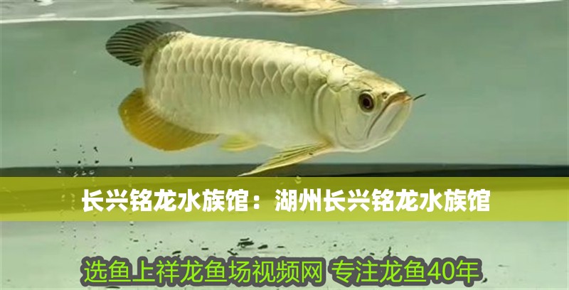 長興銘龍水族館：湖州長興銘龍水族館