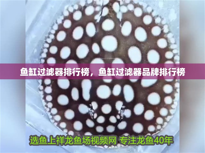 魚缸過濾器排行榜，魚缸過濾器品牌排行榜