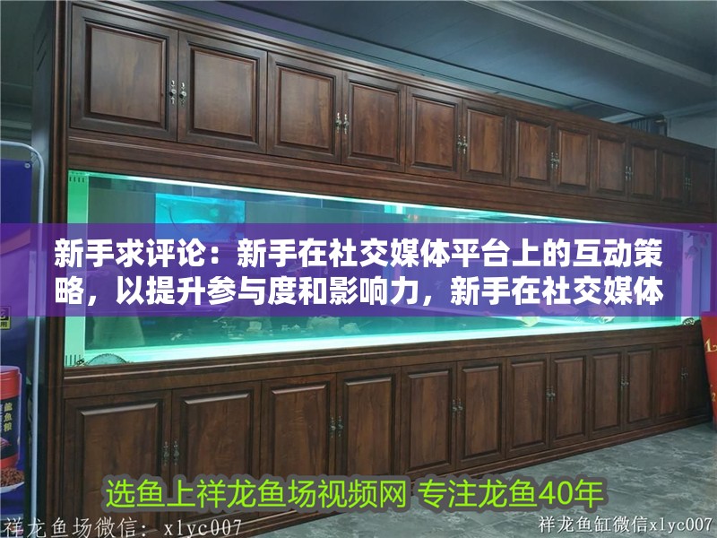 新手求評論：新手在社交媒體平臺上的互動策略，以提升參與度和影響力，新手在社交媒體上的互動策略