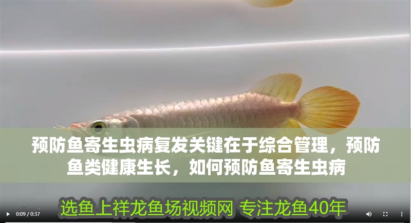 預防魚寄生蟲病復發(fā)關鍵在于綜合管理，預防魚類健康生長，如何預防魚寄生蟲病