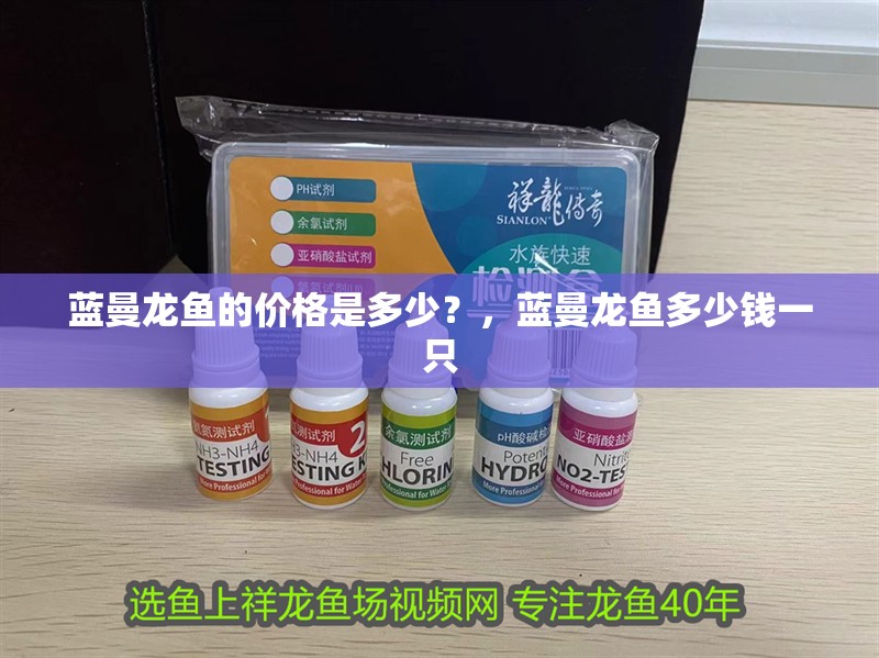 藍(lán)曼龍魚的價格是多少？，藍(lán)曼龍魚多少錢一只