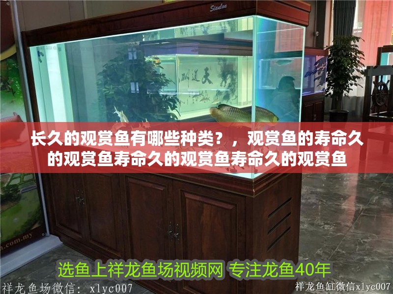 長久的觀賞魚有哪些種類？，觀賞魚的壽命久的觀賞魚壽命久的觀賞魚壽命久的觀賞魚 長久的觀賞魚有哪些種類？，觀賞魚的壽命久的觀賞魚壽命久的觀賞魚壽命久的觀賞魚 觀賞魚百科