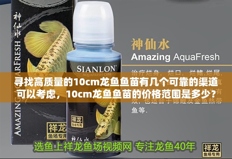 尋找高質量的10cm龍魚魚苗有幾個可靠的渠道可以考慮，10cm龍魚魚苗的價格范圍是多少？
