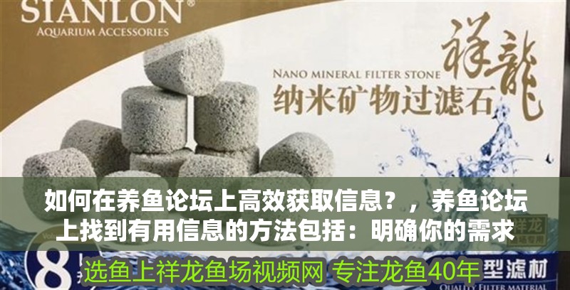 如何在養魚論壇上高效獲取信息？，養魚論壇上找到有用信息的方法包括：明確你的需求