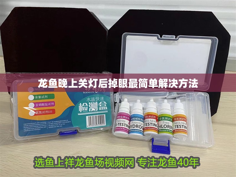 龍魚晚上關燈后掉眼最簡單解決方法