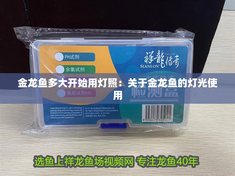 金龍魚多大開始用燈照：關(guān)于金龍魚的燈光使用