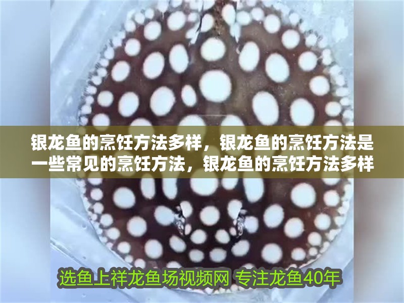 銀龍魚(yú)的烹飪方法多樣，銀龍魚(yú)的烹飪方法是一些常見(jiàn)的烹飪方法，銀龍魚(yú)的烹飪方法多樣