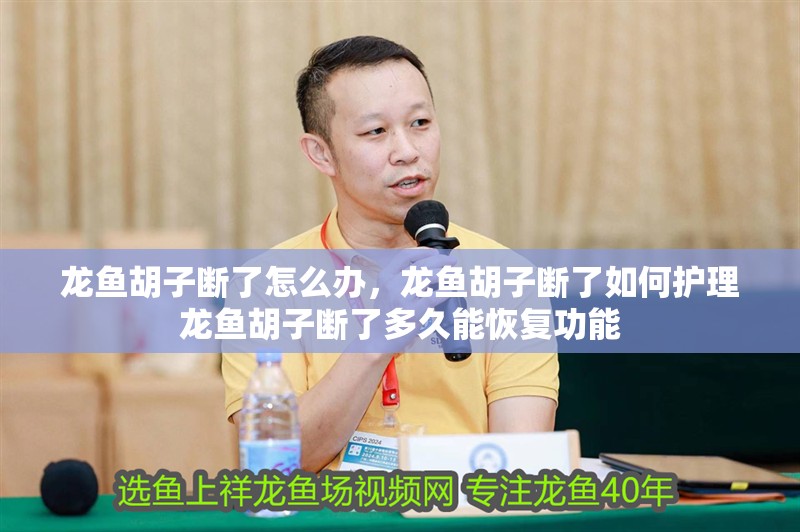 龍魚胡子斷了怎么辦，龍魚胡子斷了如何護(hù)理龍魚胡子斷了多久能恢復(fù)功能
