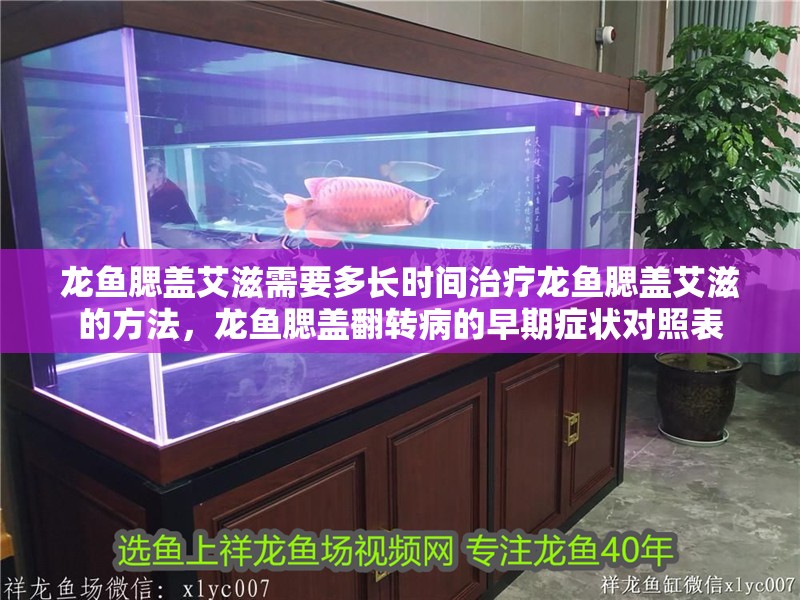 龍魚腮蓋艾滋需要多長時間治療龍魚腮蓋艾滋的方法，龍魚腮蓋翻轉病的早期癥狀對照表